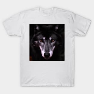 Black Wolf stearing you T-Shirt